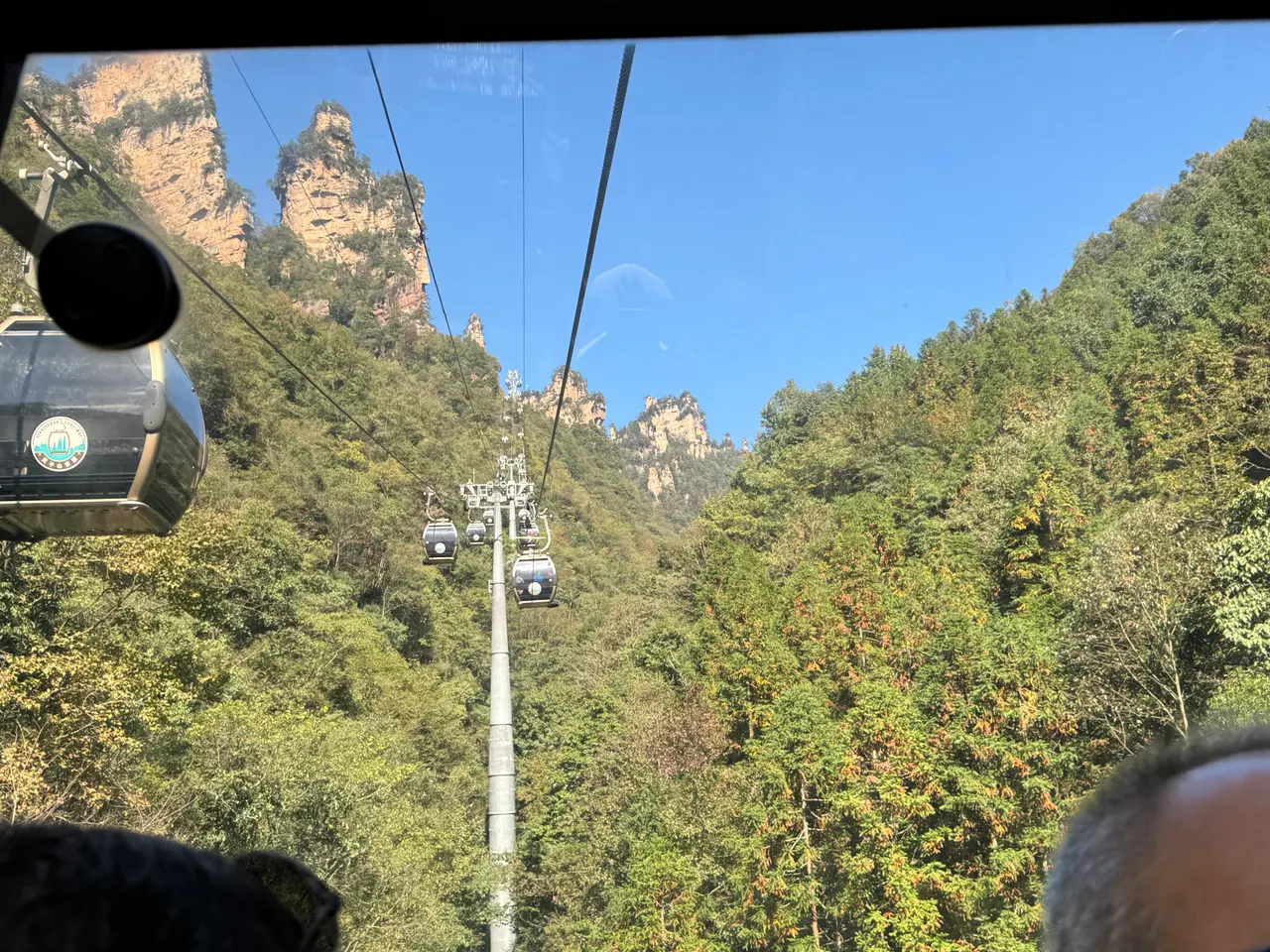 天子山索道車廂跨過森林山谷,兩旁是砂岩石峰。
