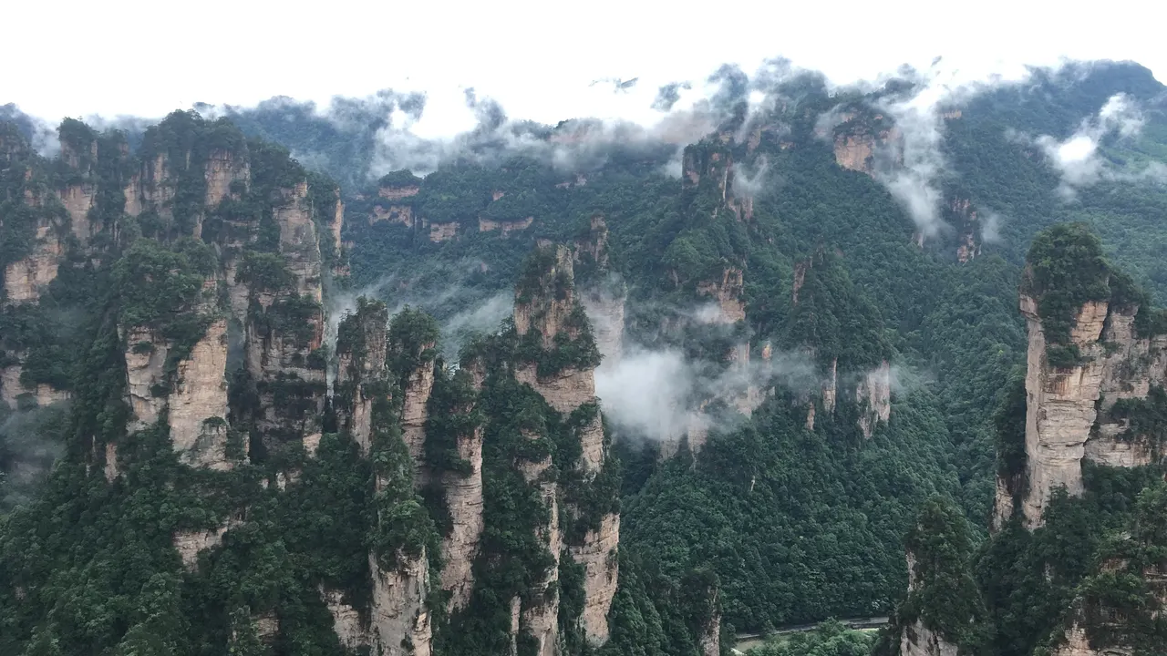 Pilastri di arenaria alberati tra le nebbie del parco forestale di Zhangjiajie