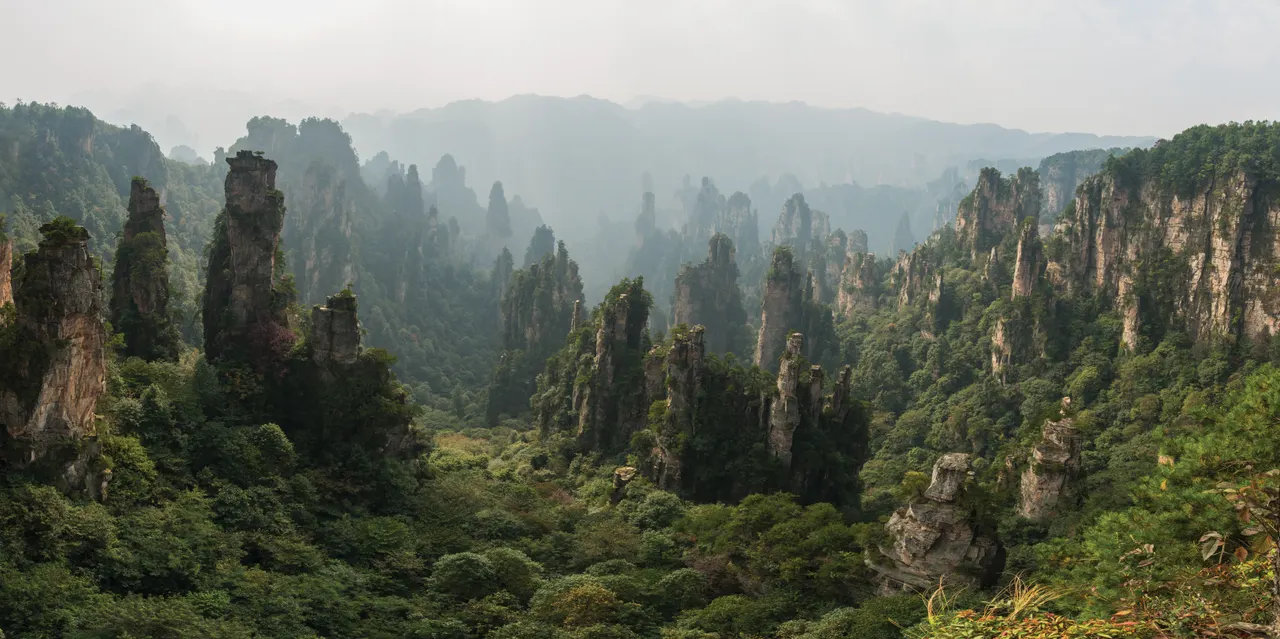 Pilastri di arenaria e foresta visti dal monte Tianzi a Zhangjiajie, fotografati nel 2012