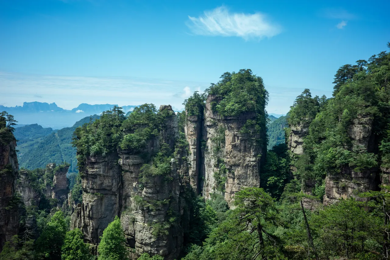 Pilares de arenisca cubiertos de árboles bajo un cielo azul en el parque forestal nacional de Zhangjiajie