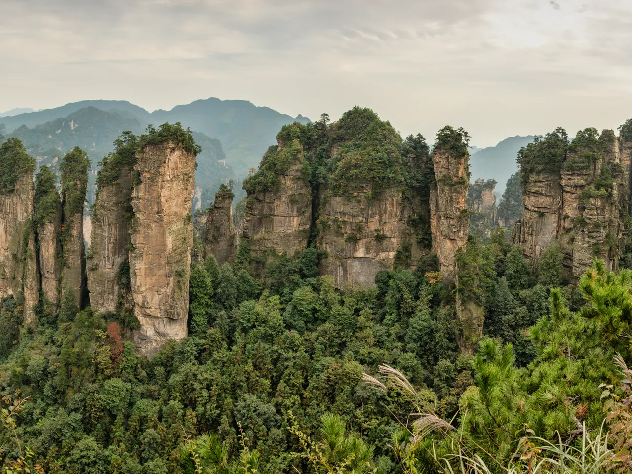 Pilares de arenisca vistos desde el circuito de la cima de Huangshizhai