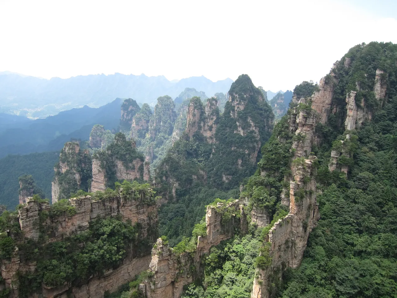 Pilares de arenisca cubiertos de bosque en Yuanjiajie