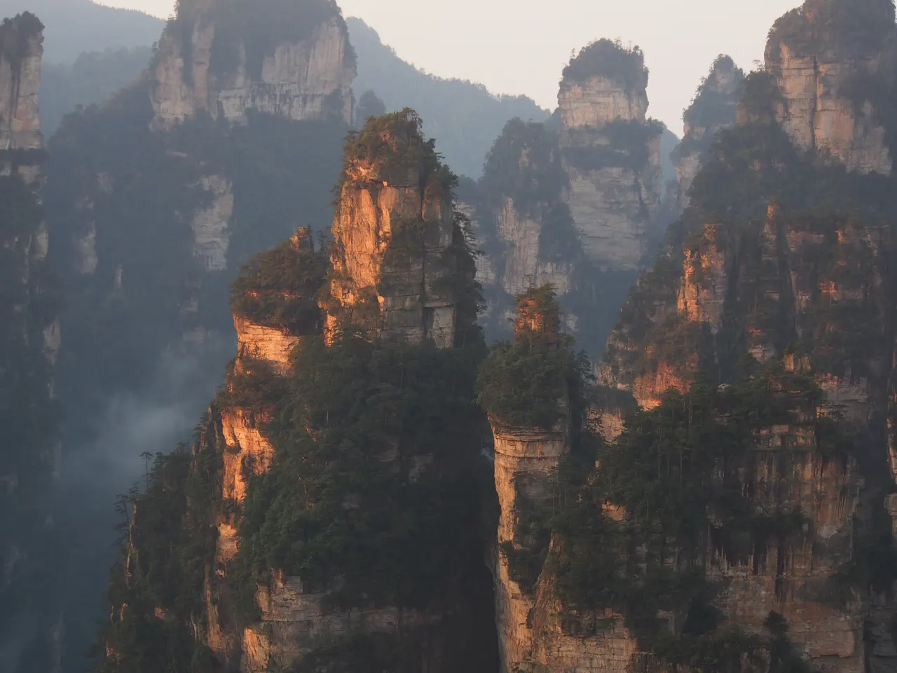 Pilastri di arenaria di Zhangjiajie nella luce del mattino