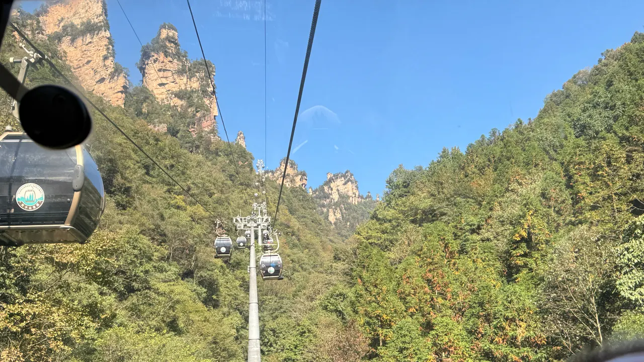 天子山索道車廂穿過林木與砂岩山峰