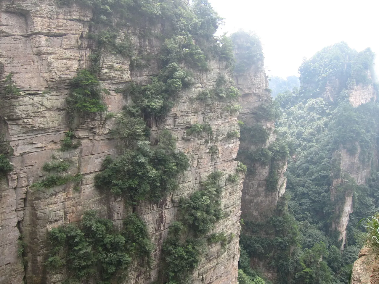 Sandstone cliffs and pillars in Yuanjiajie