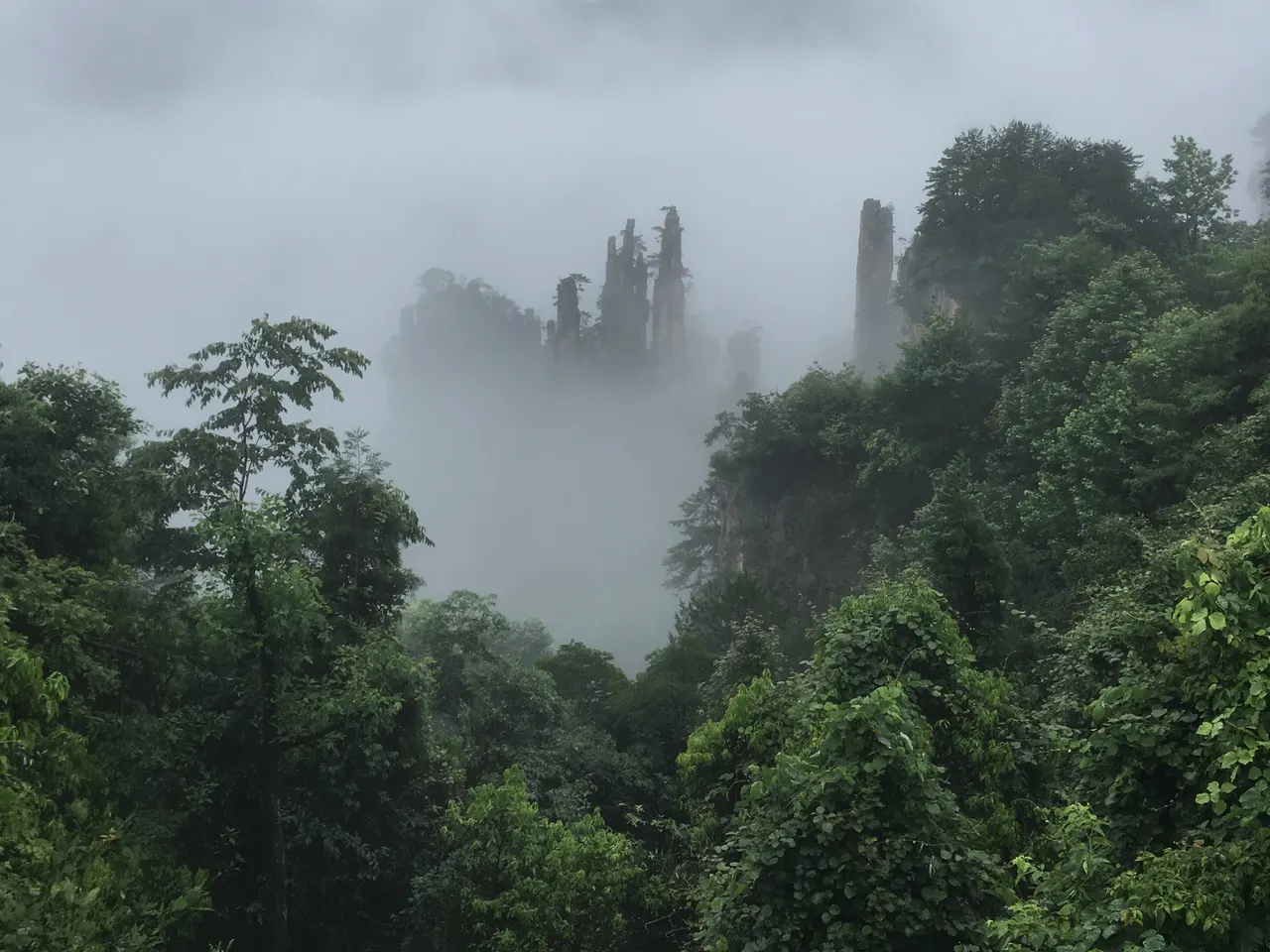 Pilares de arenisca que emergen de la niebla entre las laderas boscosas de Tianzi