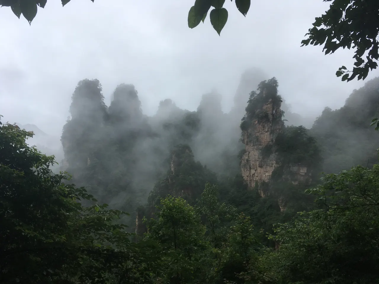 Pilastri di arenaria che emergono dalla nebbia sul monte Tianzi