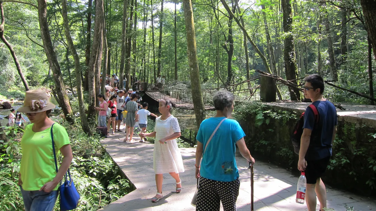 Visitatori su un sentiero ombreggiato nel bosco a Wulingyuan
