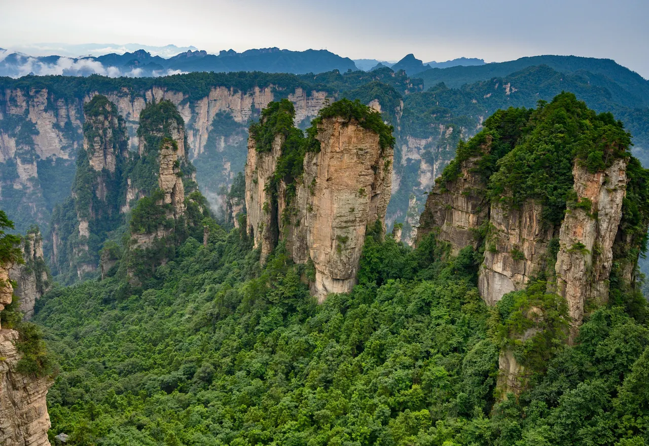 Tree-covered sandstone pillars in Zhangjiajie National Forest Park