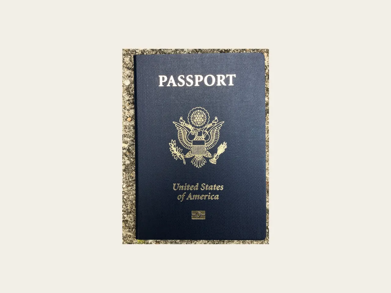 Photograph of a US passport cover