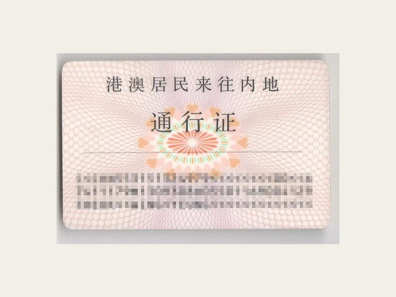 Photograph of the back of a physical Home Return Permit