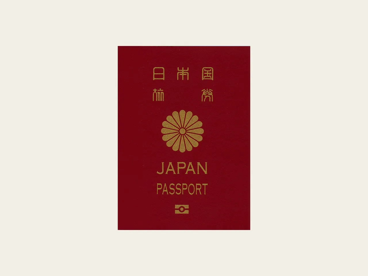 日本の10年用パスポートの表紙の写真