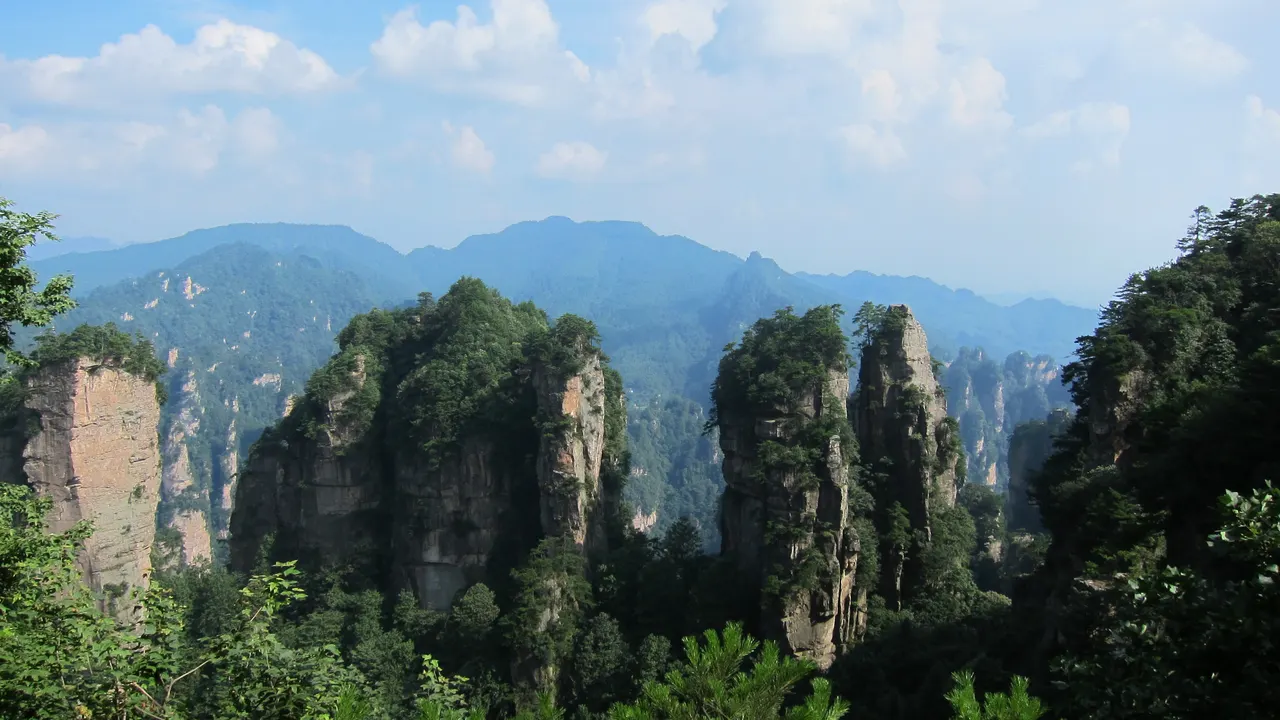Pilastri di arenaria alberati e creste lontane nel parco forestale di Zhangjiajie
