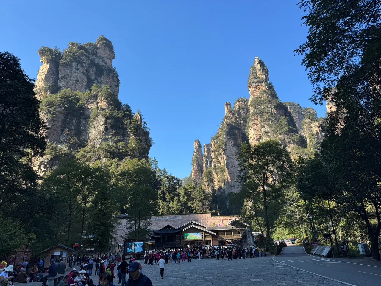 Pareti di arenaria sopra il piazzale dell’ascensore Bailong a Zhangjiajie