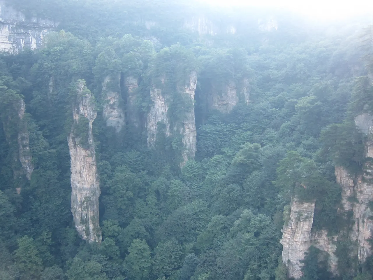 霧中的天子山砂岩石柱